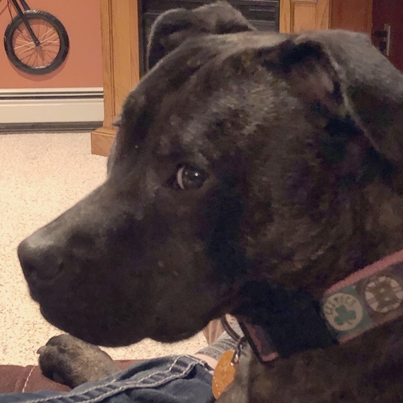 Meet your Posher, Kari - Picture 1 of 1